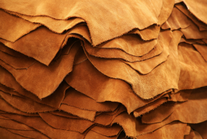 Leather Sector of Bangladesh Photo