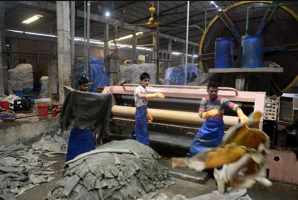 Leather Export From Bangladesh photo