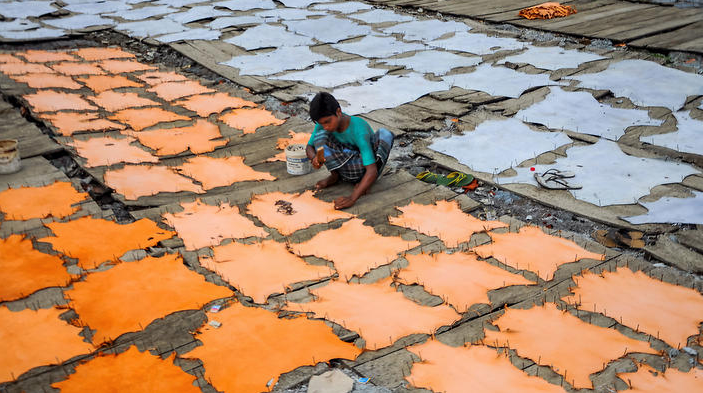 Leather Sector Of Bangladesh photo
